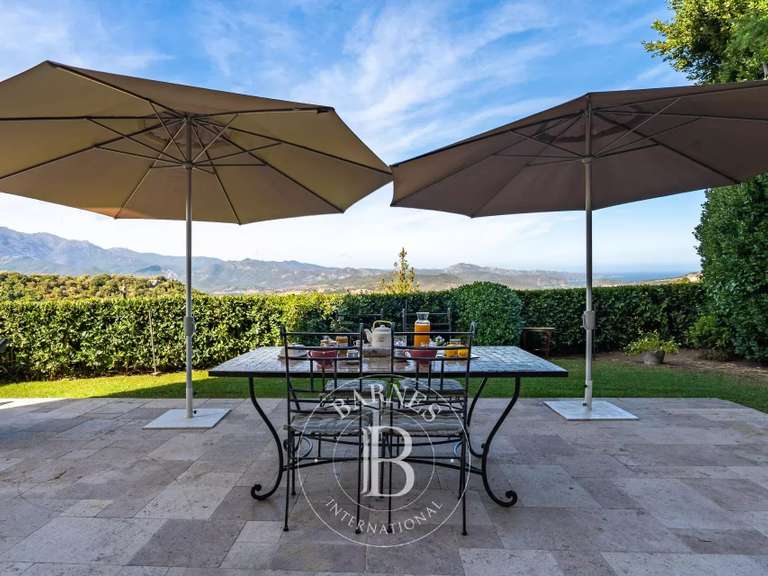 Château Oletta - 7 chambres - 420m²