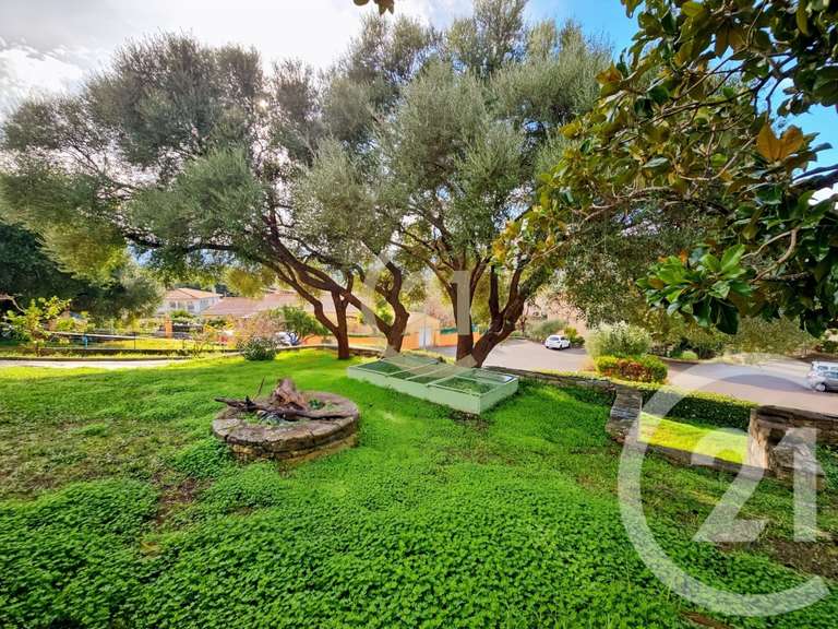 House Oletta - 3 bedrooms - 165m²