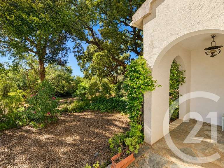 Maison Oletta - 4 chambres - 227m²