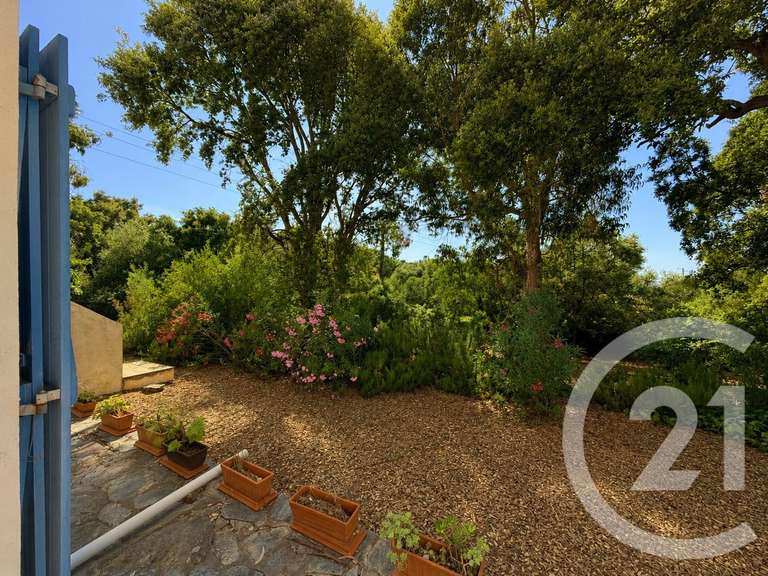Maison Oletta - 4 chambres - 227m²