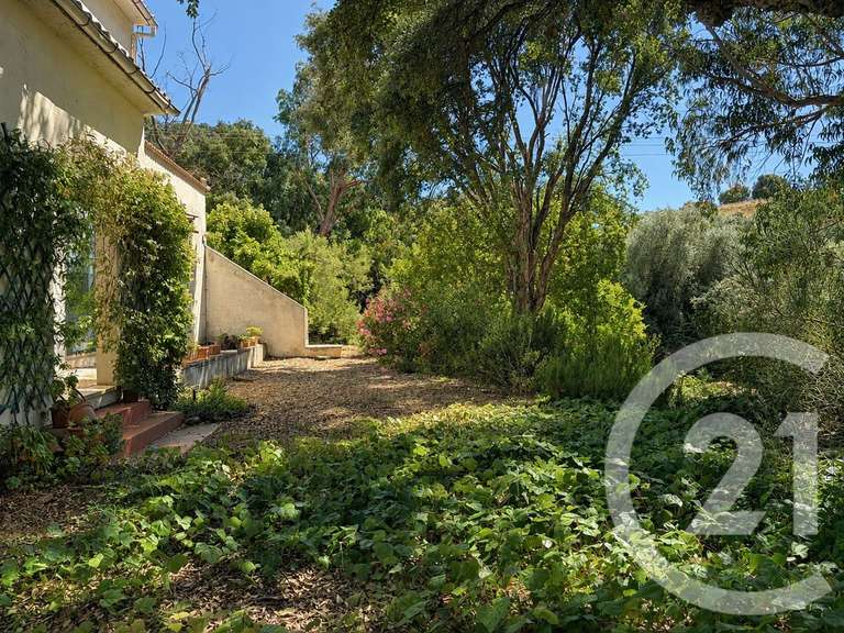 Maison Oletta - 4 chambres - 227m²