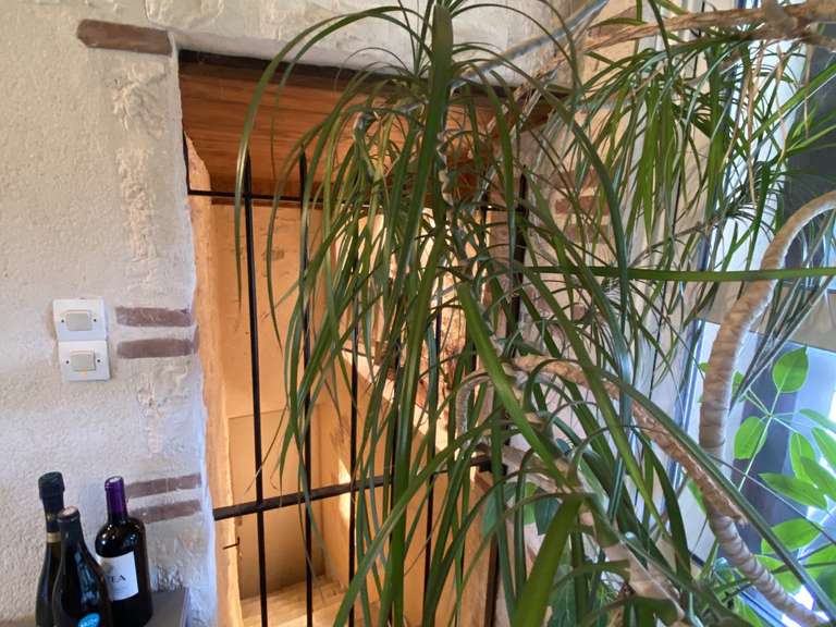 Maison Olivet - 4 chambres - 241m²