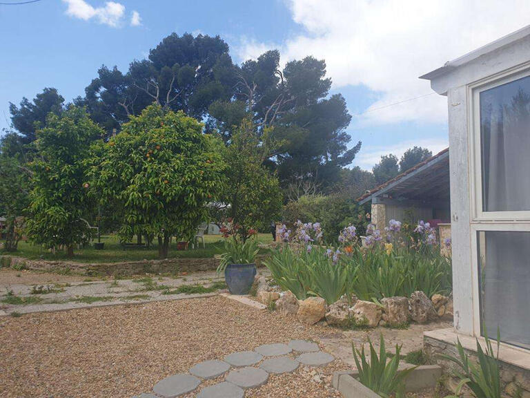 House Ollioules - 5 bedrooms