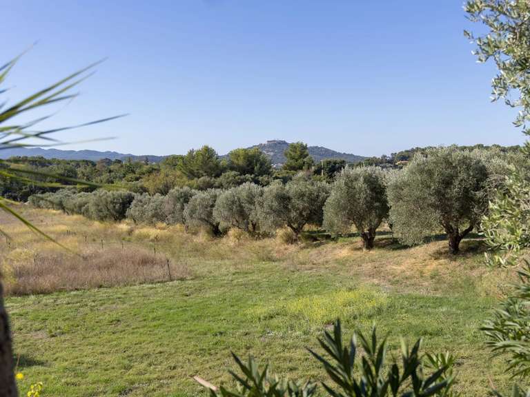 Maison Ollioules - 700m²