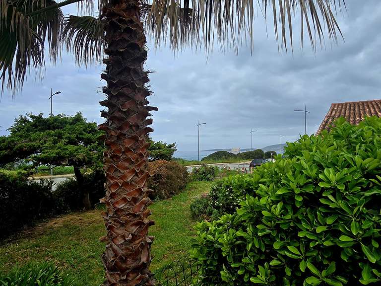 Appartement Olmeto - 2 chambres - 57m²