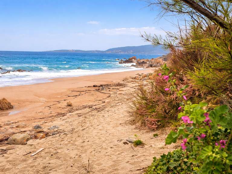 Appartement Olmeto - 2 chambres - 57m²