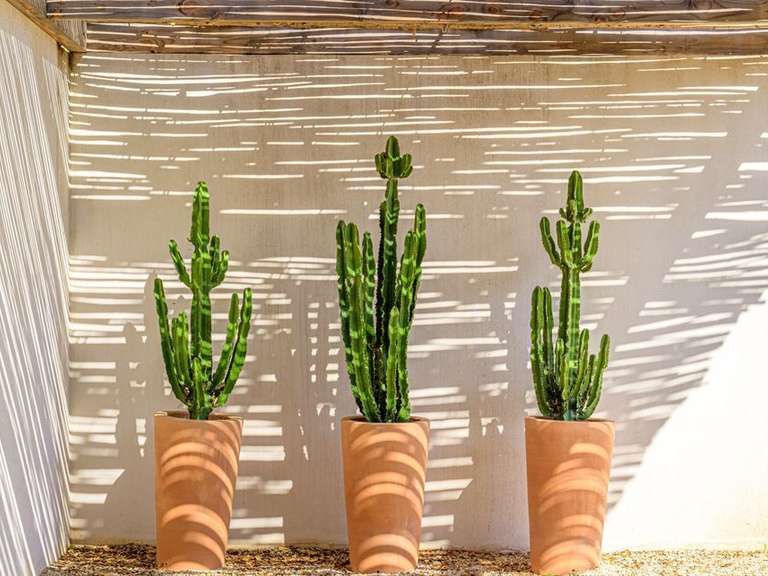 House with Sea view Olmeto - 4 bedrooms - 230m²