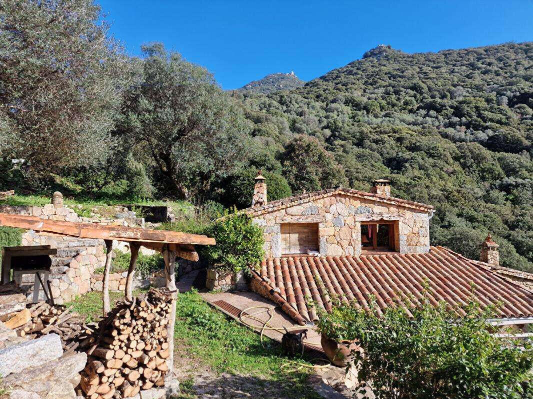 Maison Olmeto
