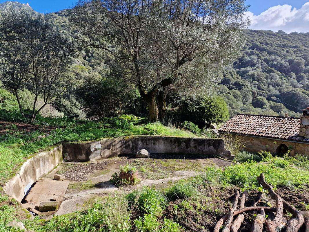 Maison Olmeto