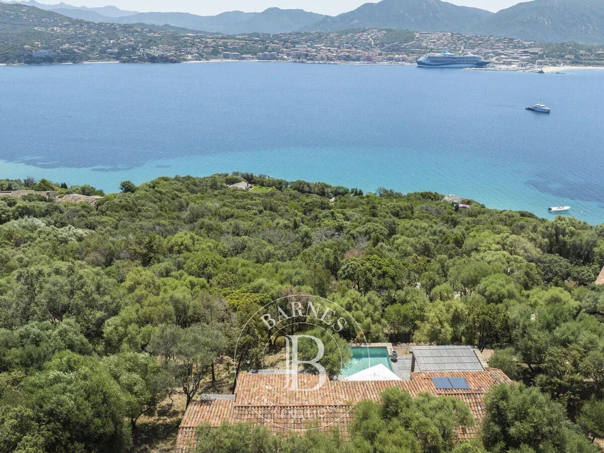 Villa Olmeto