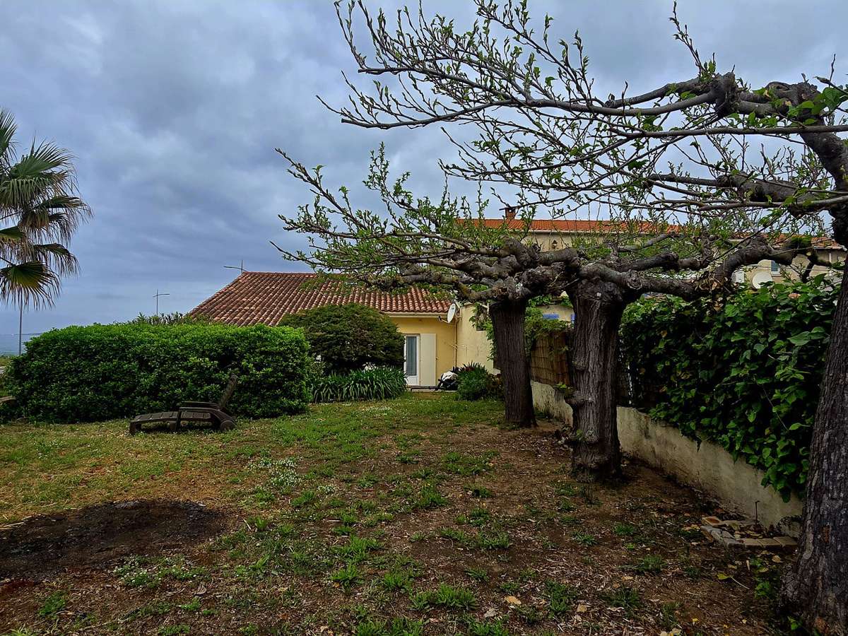 Villa Olmeto