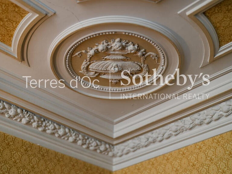 Maison Olonzac - 6 chambres - 336m²