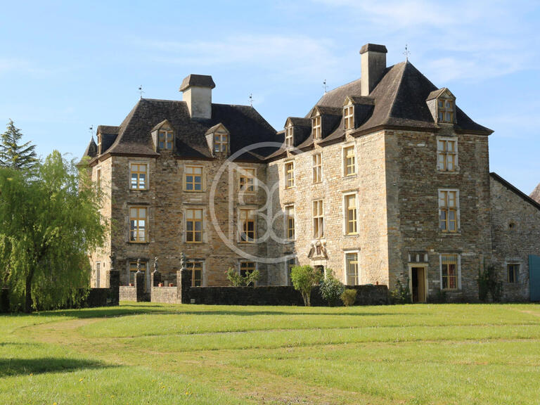 Vente Château Oloron-Sainte-Marie - 12 chambres