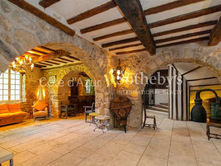 Maison Opio - 10 chambres - 800m²