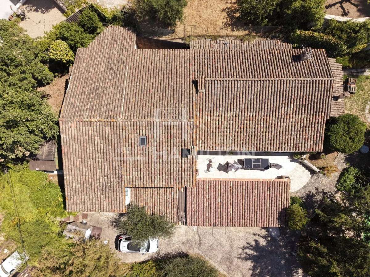House Opio