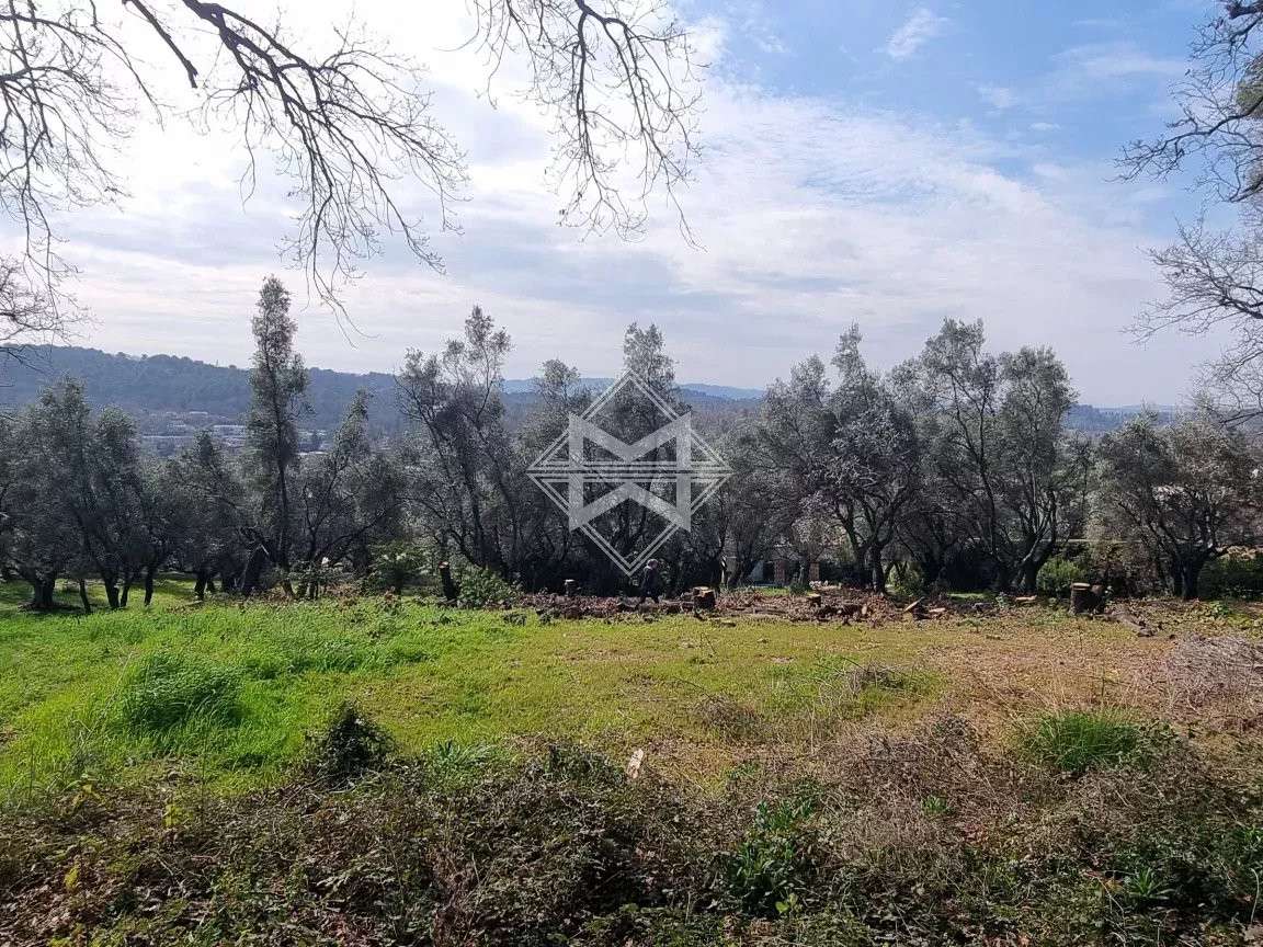 Terrain Opio