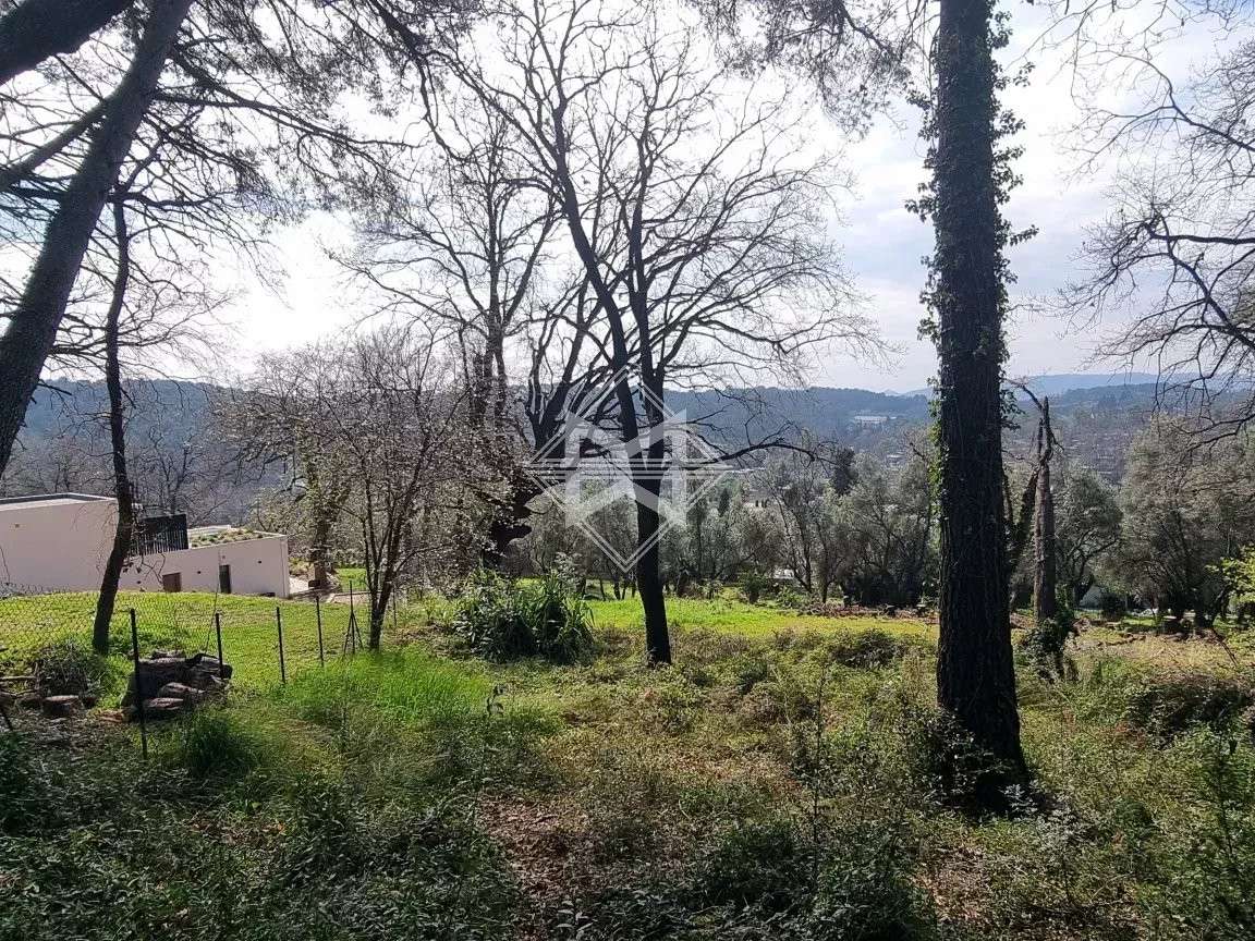 Terrain Opio