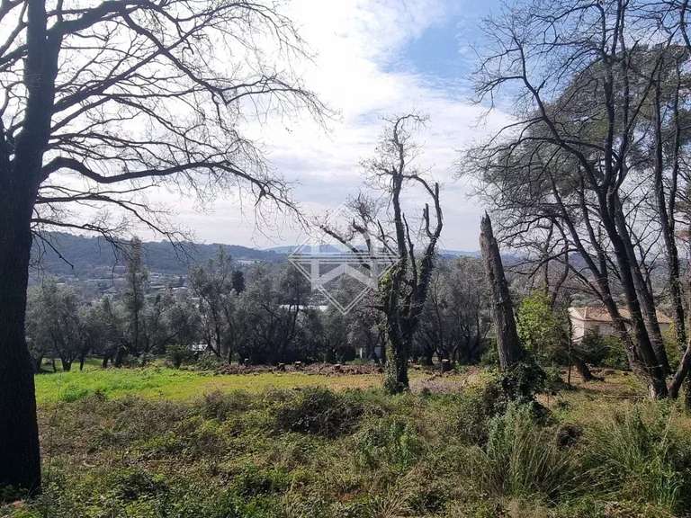 Terrain Opio - 5677m²