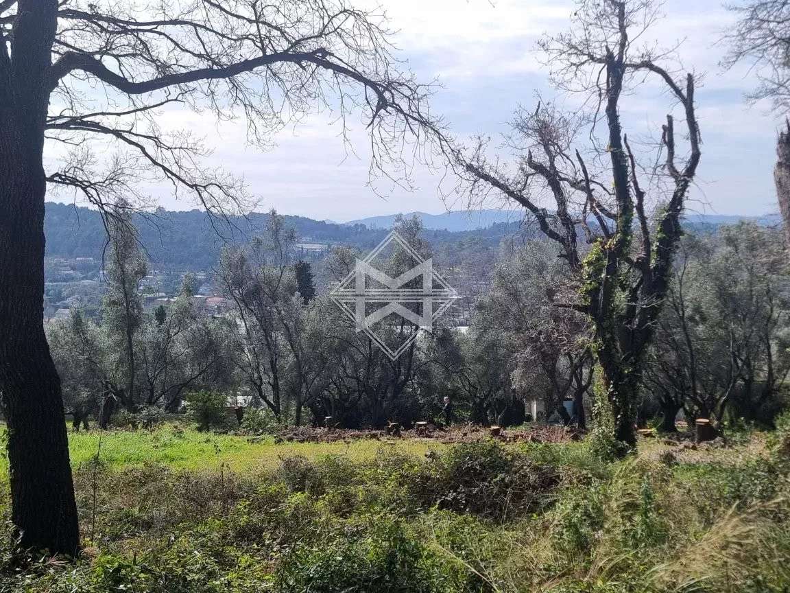 Terrain Opio