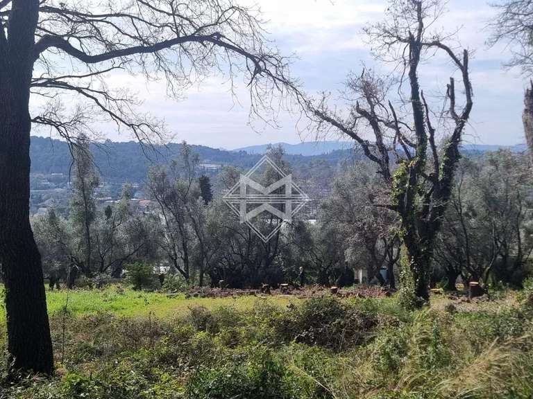 Terrain Opio - 5677m²