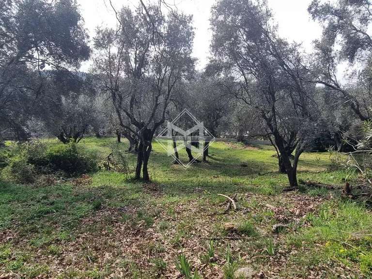 Terrain Opio - 5677m²