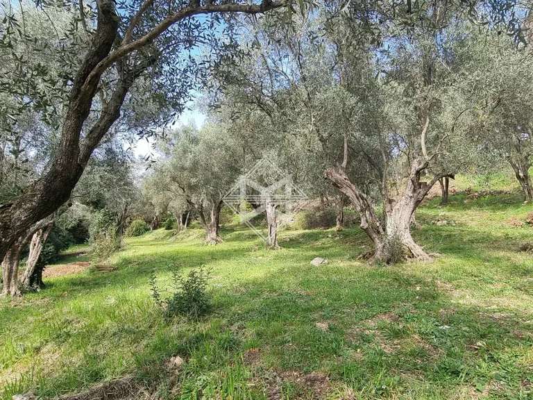 Terrain Opio - 5677m²