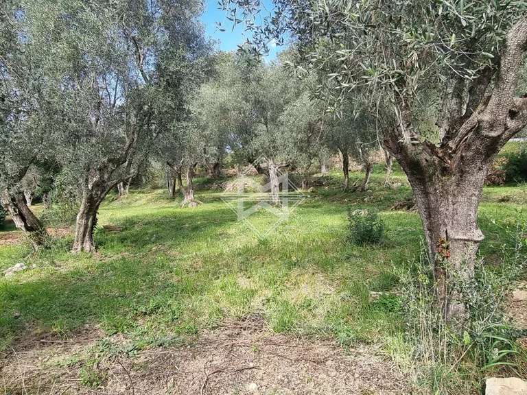 Terrain Opio - 5677m²