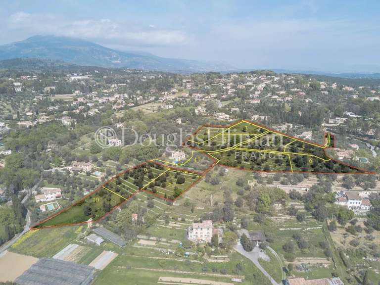 Terrain Opio - 2518m²