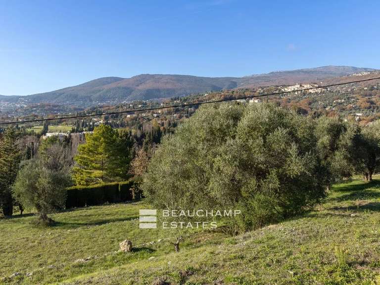 Terrain Opio - 2570m²