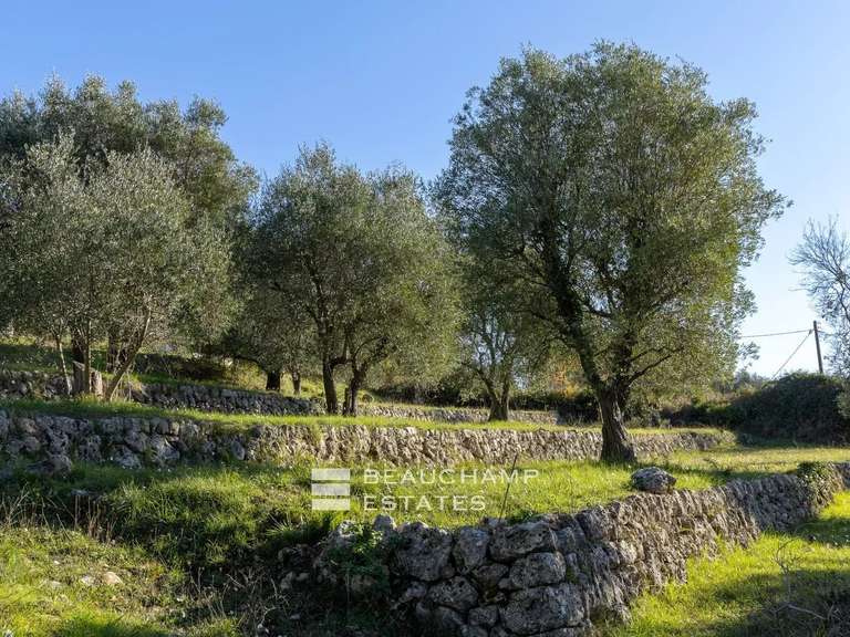 Terrain Opio - 2570m²