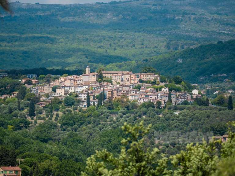 Villa Opio - 5 bedrooms - 430m²