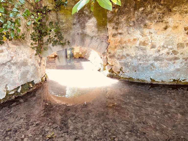 Maison Orange - 7 chambres - 684m²