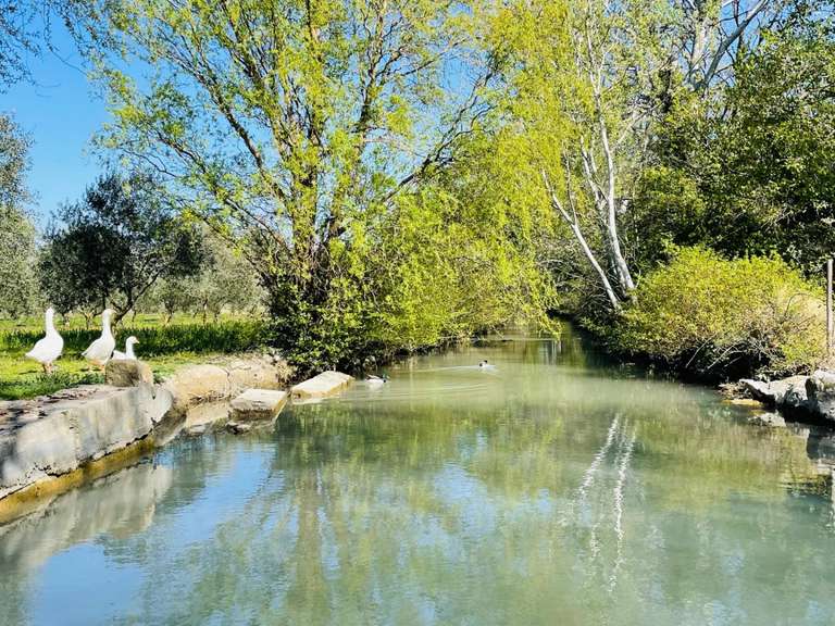 Propriété Orange - 7 chambres - 684m²