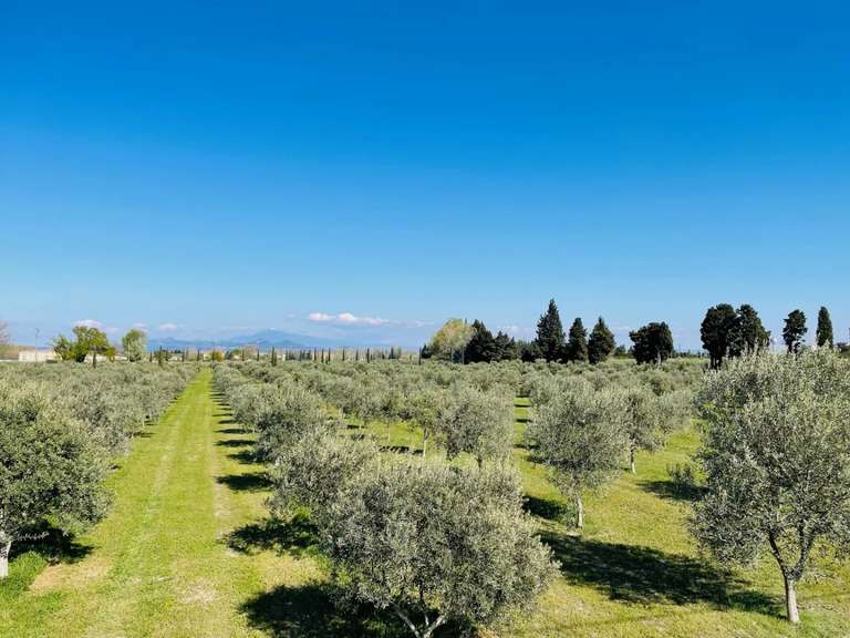 Propriété Orange - 7 chambres - 684m²