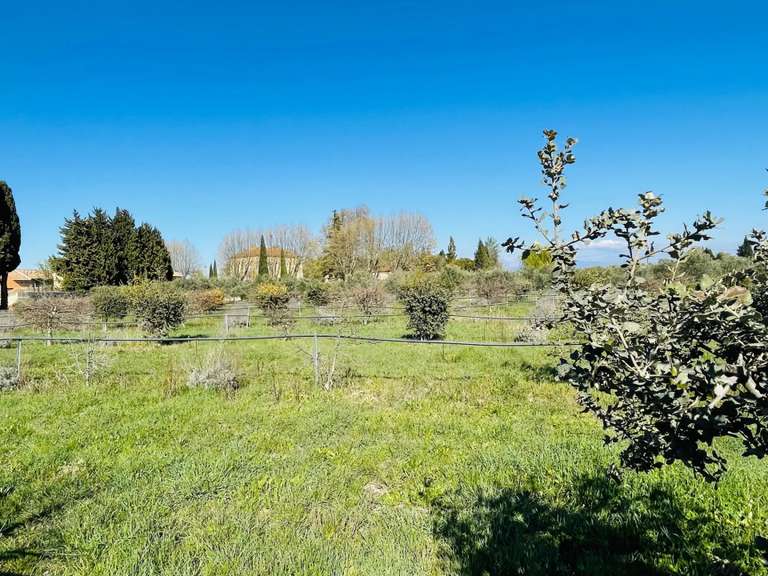 Propriété Orange - 7 chambres - 684m²