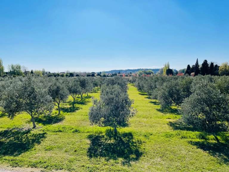 Propriété Orange - 7 chambres - 684m²