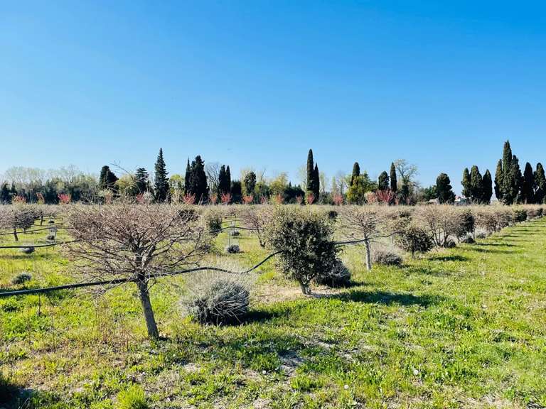 Propriété Orange - 7 chambres - 684m²