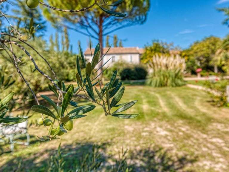 Propriété Orange - 8 chambres