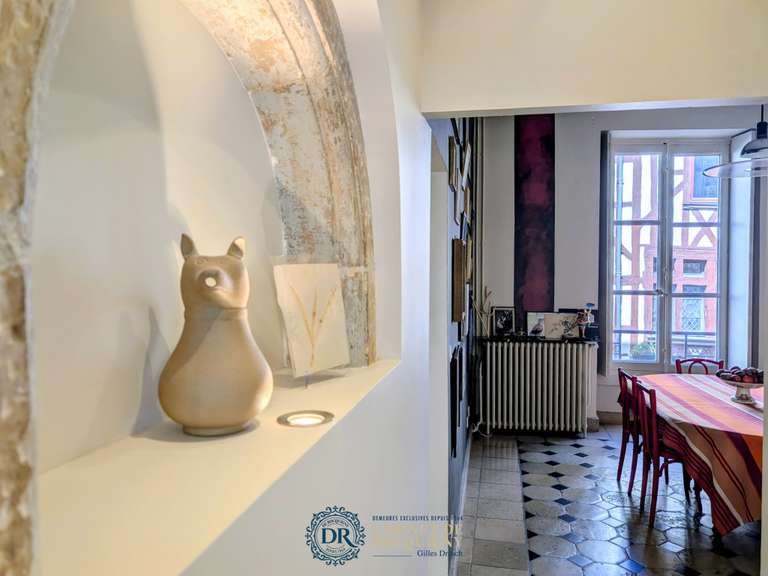 Appartement Orléans - 5 chambres - 296m²