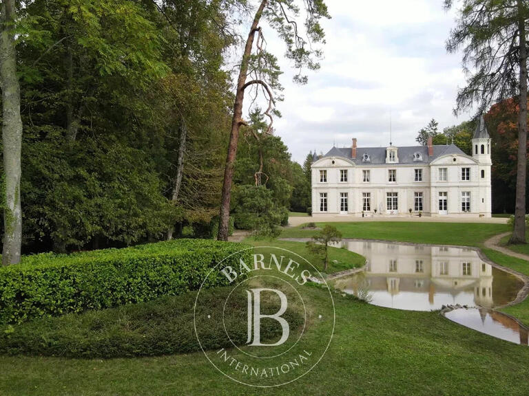 Sale Castle Orléans - 6 bedrooms