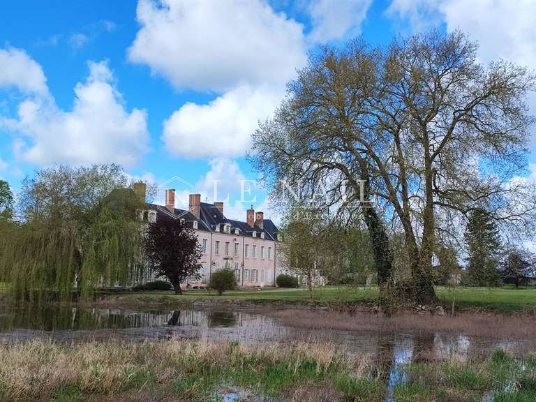 Château Orléans - 11 chambres - 827m²