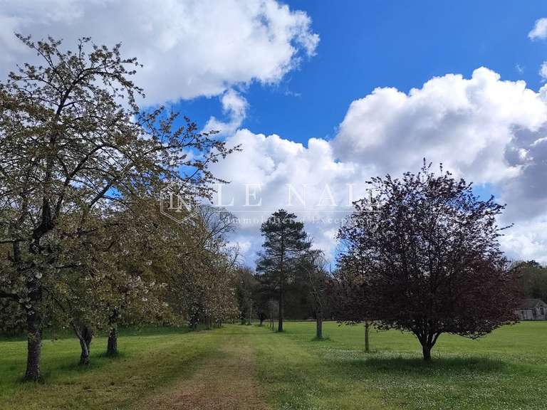 Château Orléans - 11 chambres - 827m²