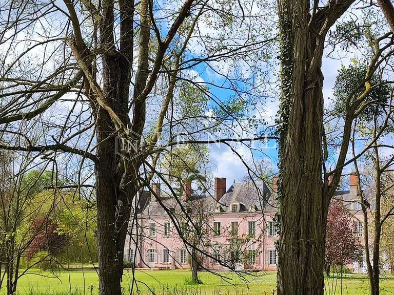 Château Orléans - 11 chambres - 827m²