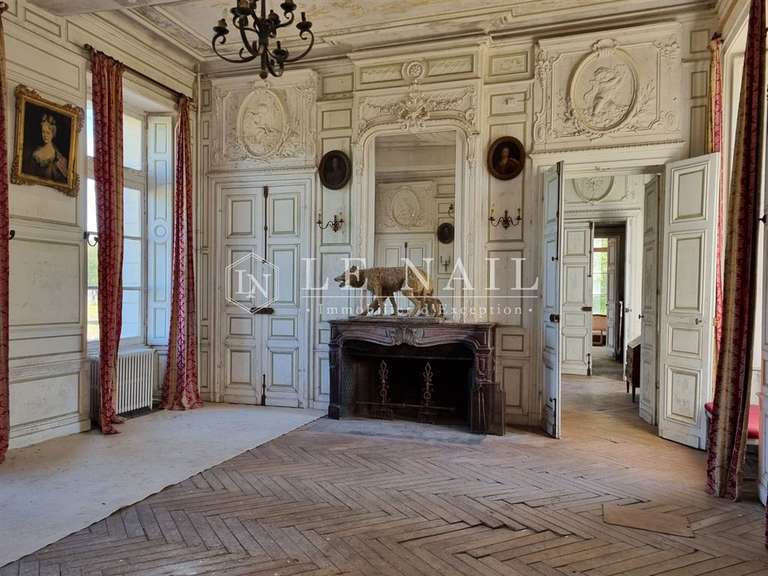 Château Orléans - 42 chambres - 1600m²
