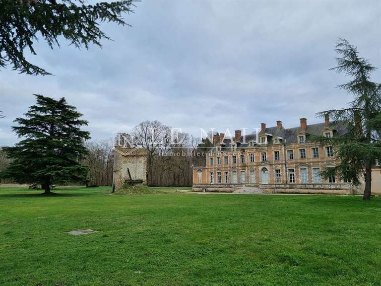 Château Orléans - 42 chambres - 1600m²