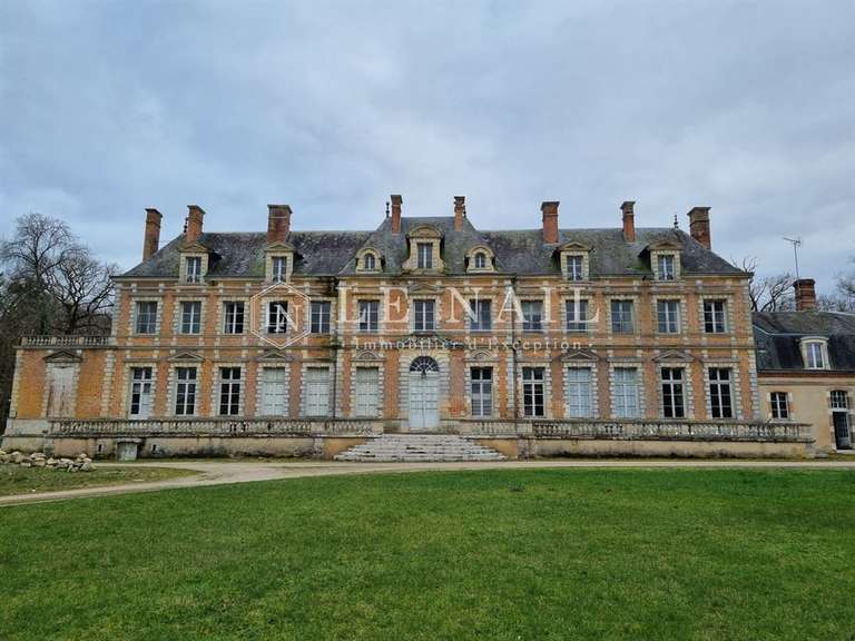Château Orléans - 42 chambres - 1600m²