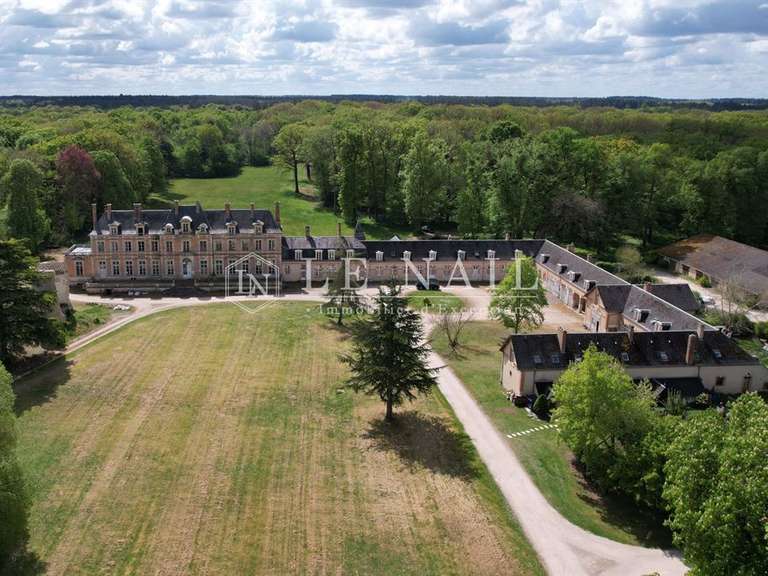 Château Orléans - 42 chambres - 1600m²