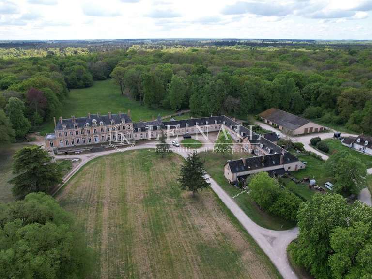 Château Orléans - 42 chambres - 1600m²