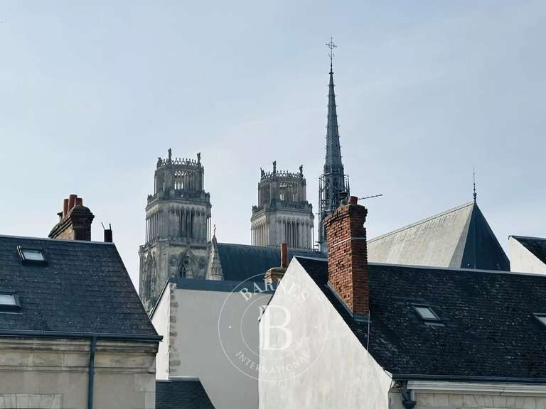 Hôtel particulier Orléans - 5 chambres - 243m²
