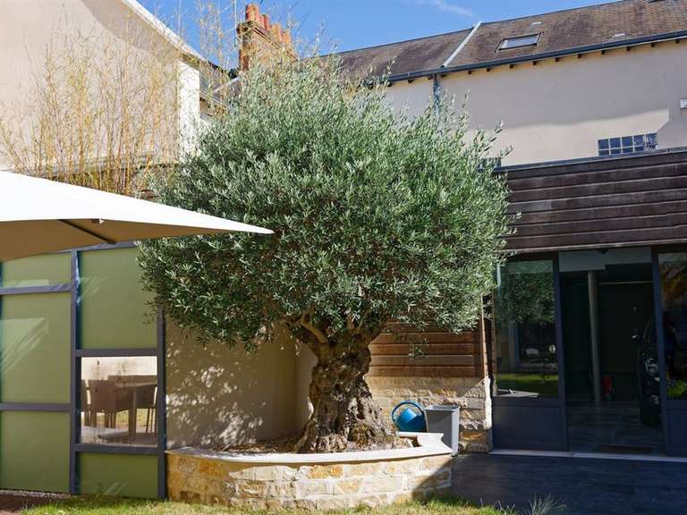 Maison Orléans - 5 chambres - 197m²
